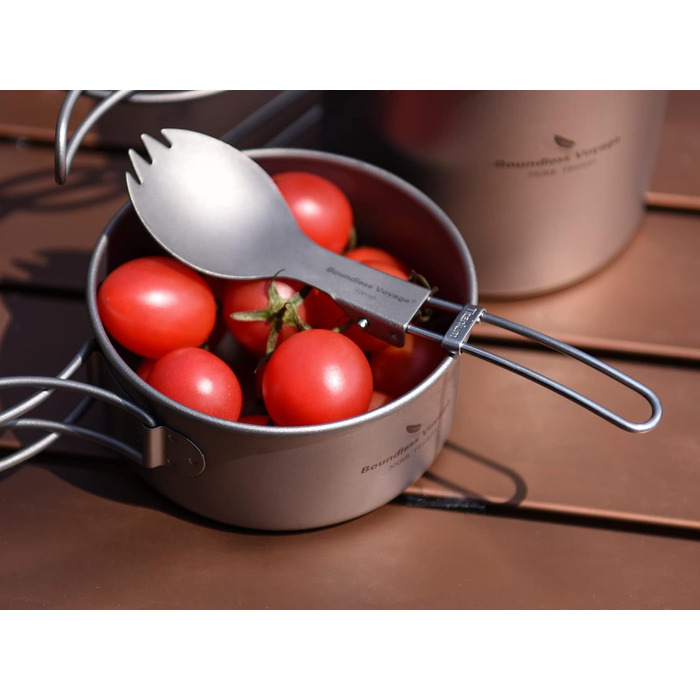 Кемпінгові столові прибори 2 в 1 ложка Виделка Портативний посуд для подорожей на відкритому повітрі Невеликий легкий столовий пос