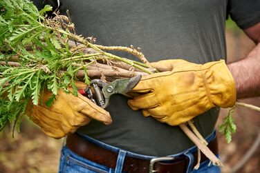 Ковані садові ножиці Corona BP 3180D Classic Bypass, довжина різання 2,5 см, червоні, 1 м