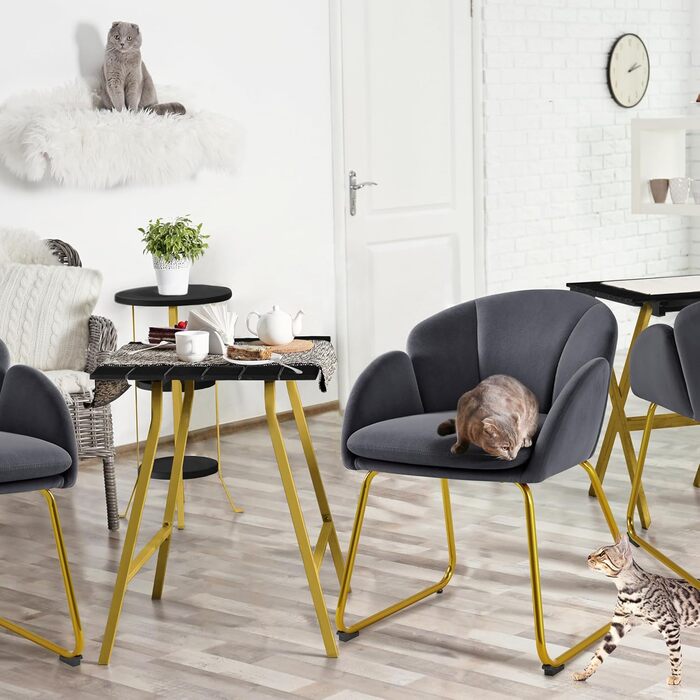 Сучасний обідній стілець Yaheetech, кухонний стілець у формі квітки, м&39яке крісло із золотистими металевими ніжками, для вітальні/їдальні, темно-сірий, темно-сірий поліестер