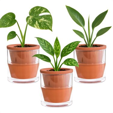 Горщик для кімнатних рослин D&39vine Dev із самополивом, теракотовий кашпо з циліндричною скляною чашкою, 3 шт., 37-ZA-1-T