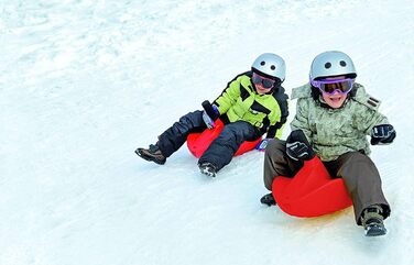 Санки Alpengaudi Zipfelbob з ручкою до 100 кг 2 шт. зелені, 2 шт.