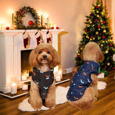 Пальто для собак, зимова куртка для собак, тепле пальто для маленьких собак, вітрозахисний жилет для собак з отвором для шлейки, злегка водонепроникний, різдвяна куртка для чихуахуа та такс, чорна, MM Black