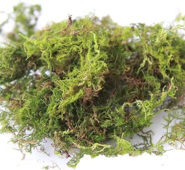 Упаковки Штучний імітаційний мох, зручний і практичний штучний зелений мох Штучний оленячий мох Імітація лишайників Підроблені зелені рослини для рослин Прикраса саду патіо, 2