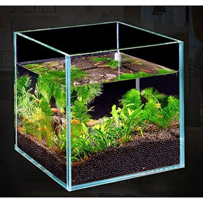 Акваріум BEGONDIS Cube 20x20x20 см, скляний акваріум