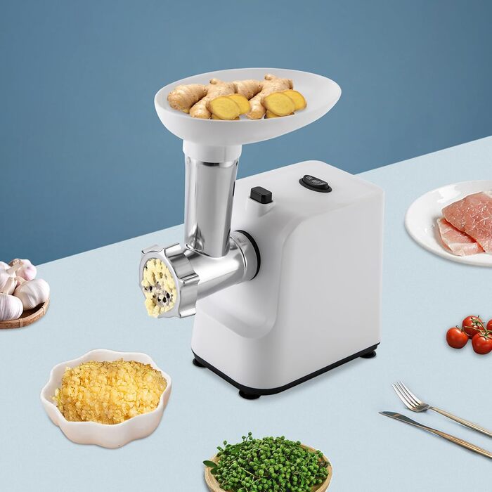 М'ясорубка Електрична м'ясорубка 1000 Вт з нержавіючої сталі Машина для фаршу з 3-ма дисками М'ясорубка Електрична м'ясорубка М'яс