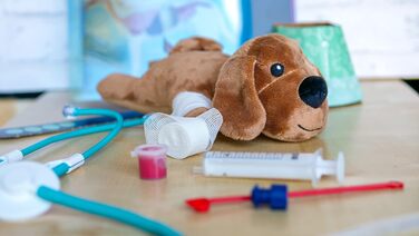 Навчальний набір Galileo Lab Clementoni, світ ветеринарної медицини