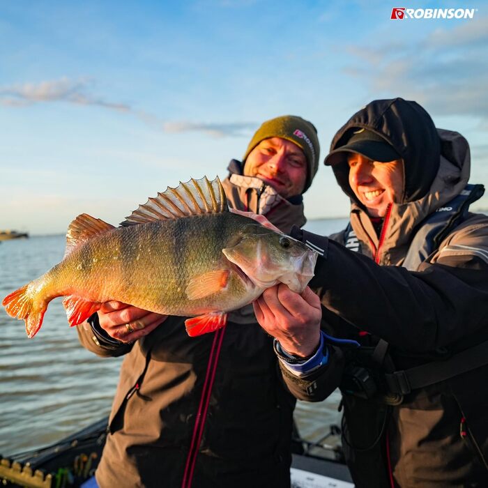 Котушка для спінінгу Robinson з 8 кульковими підшипниками - антиреверс - графітовий корпус - алюмінієва шпуля - передавальне число 5.21 - гальмівний вал 8 кг - котушка для спінінгу - Platinum 3000