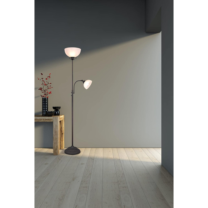 Торшер Reality Country R46322024, метал кольору іржі, скло білого алебастру, ексклюзивний стиль рустік/кантрі, E27 та E14