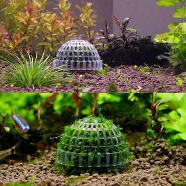 ProLeo Plastic Aquarium Moss Ball, Aquarium Transparent Landscaping Plants Holding Floating Moss Ball for Aquarium Decoration, ProLeo Plastic Aquarium Moss Ball, Aquarium Transparent Landscaping Plants Holding Floating Moss Ball for Aquarium Decoration