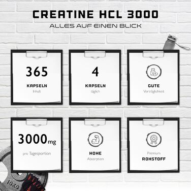 Креатин Гідрохлорид (HCl) – 365 капсул