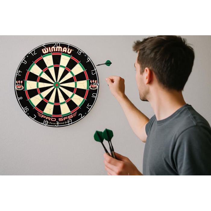 Мішень для дартсу WINMAU Pro SFB Bristle, один розмір, різнокольоровий