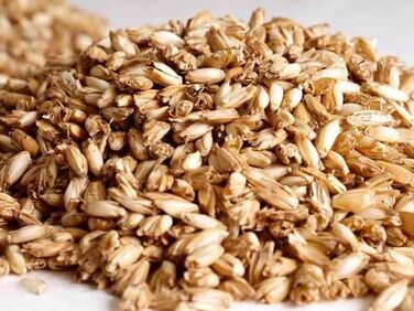 Органічна подушка з наповнювачем з полби 40x80 см, подушка з полби з чохлом з органічної бавовни та наповнювачем зі 100 лушпиння полби