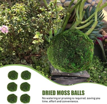 Кульки із сухого моху Камені з штучного моху Кулька з акваріумного моху Зелений мох для виготовлення булочок Зелені кульки з моху Підвісні кульки Кулька Соковитий наповнювач із сухого моху, 6 шт.