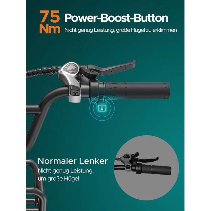 Чоловічий електровелосипед ENGWE з акумулятором 48 В 13 Аг, колесами 20 * 4,0 дюймів, 7-ступінчастою коробкою передач з РК-дисплеєм, двигуном 250 Вт та швидкістю 25 км/год, запасом ходу до 120 км L20/L20 Boost Black L20 BOOST