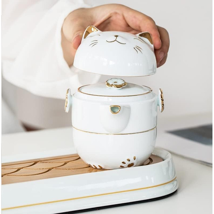 Набір для чаювання RORA в дорозі керамічний чайник ручної роботи в стилі Кунфу, портативний набір Все в одному (1 чайник, 2 чашки) для подорожей, офісу та дому (білий)