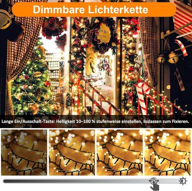 Світлодіодні гірлянди 33 м WISD