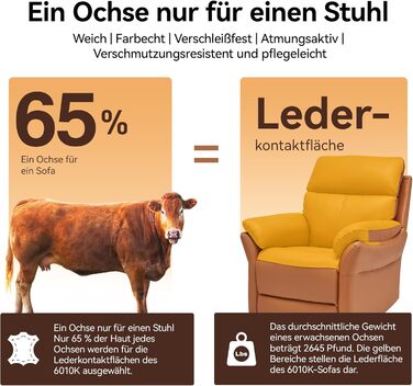 Крісло для відпочинку AIRSKY з натуральної шкіри, крісло для телевізора з функцією відкидання, крісло для кінотеатру, крісло для сну, крісло для старших, крісло для телевізора з функцією сну, ручне регулювання крісла для вітальні, спальні (помаранчеве)