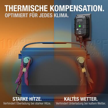 Інтелектуальний зарядний пристрій 1А, зарядний пристрій 6В/12В, крапельний зарядний пристрій і десульфатор з температурною компенс