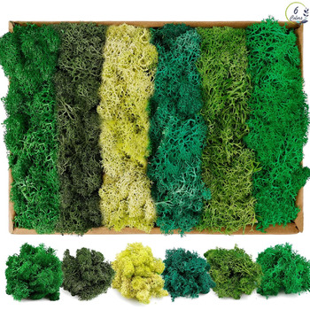 Ісландський мох, консервований мох, декоративний мох для рукоділля, картина з моху, виготовлення моделей, художній мох, натуральний консервований мох у 6 кольорах (240 г), натуральне багаторазове листя моху для декору, виготовлення моделей, прикраса для д