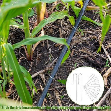 Скоби для крапельного зрошення, садові кілки J-подібної форми, 5-дюймові скоби для ландшафтного дизайну, штифти для крапельного зрошення (призначені для утримання крапельних трубок діаметром до 1/2 дюйма), для утримання крапельних трубок діаметром до 1,27