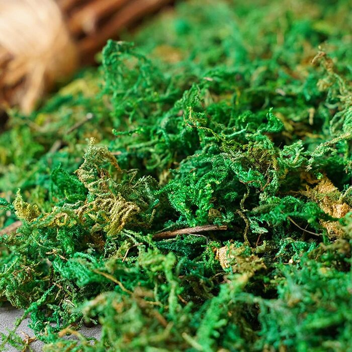 Упаковки Штучний імітаційний мох, зручний і практичний штучний зелений мох Штучний оленячий мох Імітація лишайників Підроблені зелені рослини для рослин Прикраса саду патіо, 2