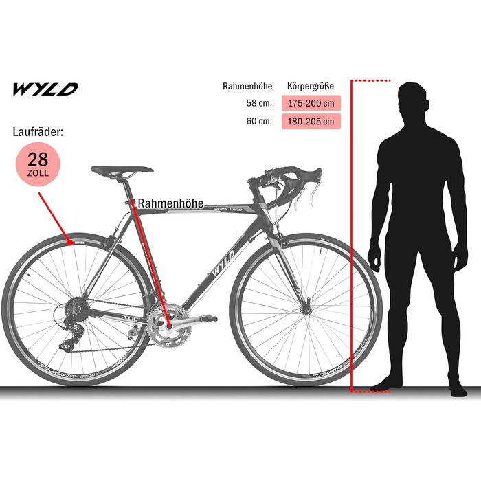 Велосипед WYLD Racing 28&39&39 Whirlwind 70 Black 14 передач Чорний 60 см