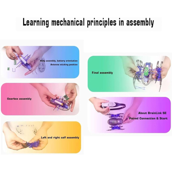 Біосенсорна пов&39язка на голову для медитації, пов&39язка на голову з біоуправлінням мозковими хвилями та керуванням за допомогою застосунку, підходить для різних розмірів голови, для релаксації, самоконтролю та тренування концентрації.
