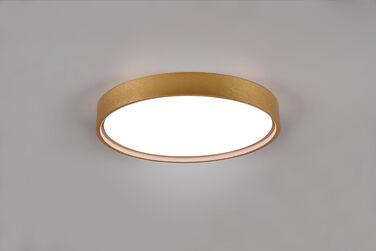 Стельовий LED-світильник Trio Leuchten Doha 641310208, матова латунь, акрил, LED 29 Вт