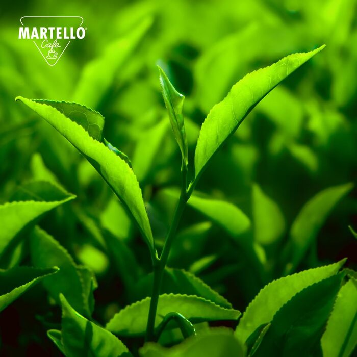 Чайні капсули Martello EARL GREY - Свіже, ароматне листя - 200 капсул (20 x 10), сумісні з капсульними автоматами MARTELLO