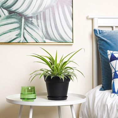 Пластиковий квітковий горщик з блюдцем, набір з 6 пластикових горщиків для трав з декількома дренажними отворами, кругла кашпо для