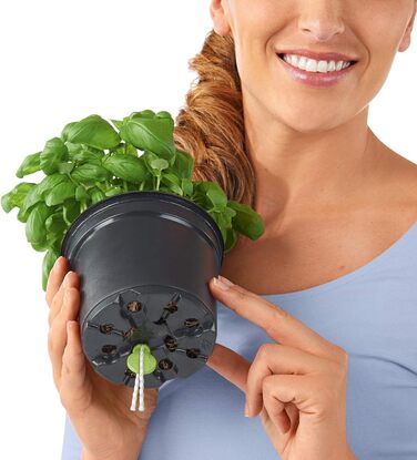 Колір 14 шиферно-сірий 13384