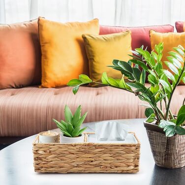 Комплект із 2 плетених кошиків для зберігання, невеликі прямокутні полиці-кошики з відділеннями, декоративний поличний кошик, коробка для зберігання у ванну кімнату, вітальню, полиця для бачка унітазу