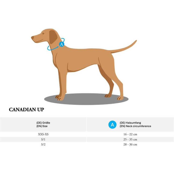 Ошийник для собак HUNTER Canadian UP, колір коньяк, для малих собак та цуценят, мяка та гнучка шкіра, не пошкоджує шерсть, екологічно чистий, виготовлено в Німеччині, розмір S/1 коньяк S/1