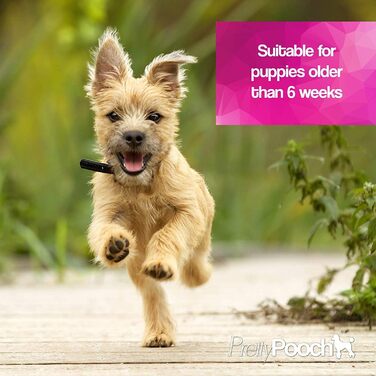 Шампунь та кондиціонер Pretty Pooch Gentle Touch для собак, професійний шампунь глибокого очищення для собак з чутливою шкірою, що не викликає свербежу (4 л, аромат дитячої присипки)