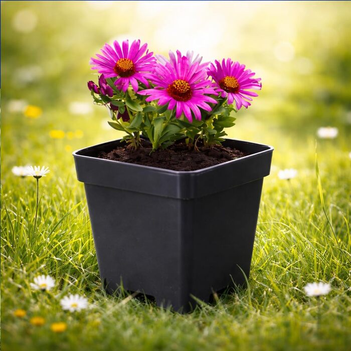 Горщик для рослин 11 L чорний 25x25x26 см Горщик для квітів Кашпо Горщики для рослин, 20 шт.