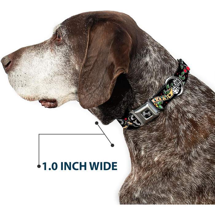 Нашийник Buckle-Down Lucky Black, багатокольоровий, ширина 2,5 см, для обхвату шиї 38-66 см, розмір L (DC-W31238-L)