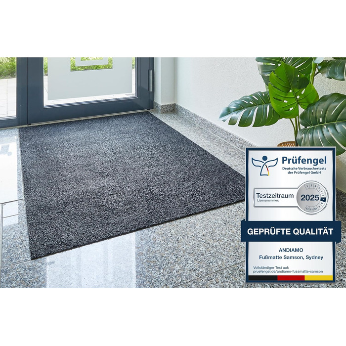 Килимок для вхідних дверей andiamo Samson для дому Бавовняний килимок, що вловлює бруд, що миється Нековзний, поглинаючий та високоякісний Килимок для вхідних дверей 60 x 100 см, Антрацит Антрацит 60 x 100 см (Прямокутний)