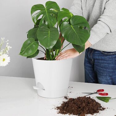 Квітковий горщик 20,3 см, пластиковий квітковий горщик із системою поливу, 2 горщики для рослин, сучасний для кімнатних та балконних садових рослин, сукулентів, кактусів (білий) Білий 20,3 см