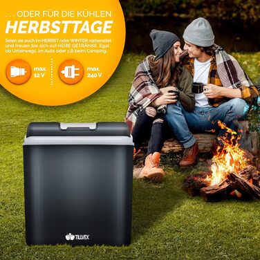 Електричний 24 л міні-холодильник 230 В і 12 В для автокемпінгу охолоджує і гріє режим ECO сірий