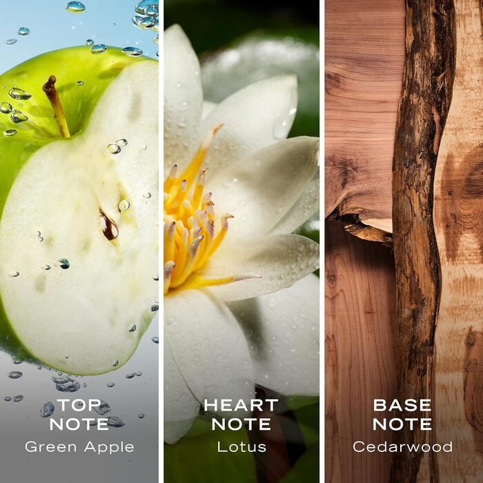 Туалетна вода Nautica Voyage (100 мл)