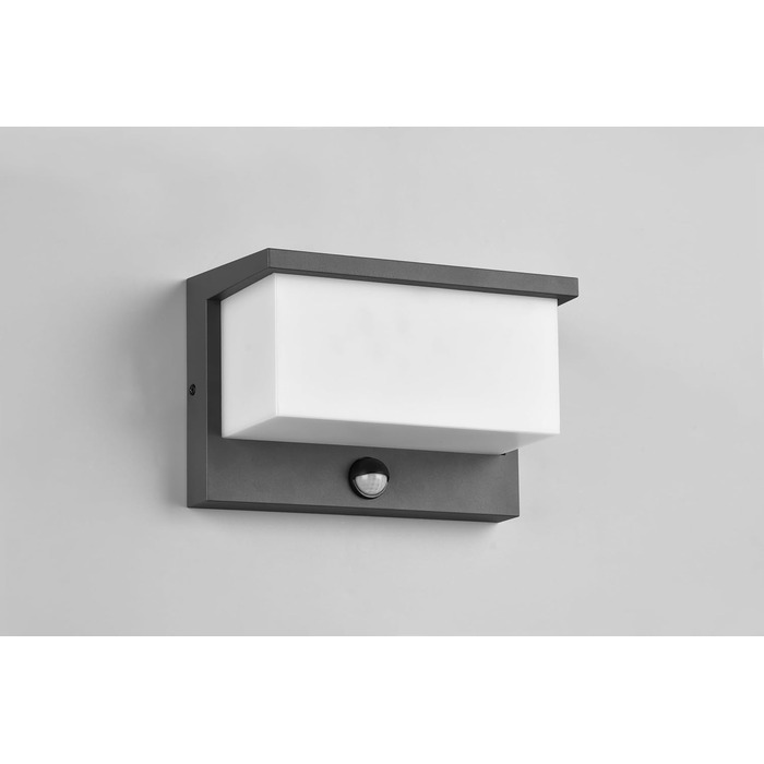 Стічний LED-світильник Trio Leuchten Nestos 240969142, алюміній (антрацит), білий пластиковий плафон, 13 Вт, з датчиком руху