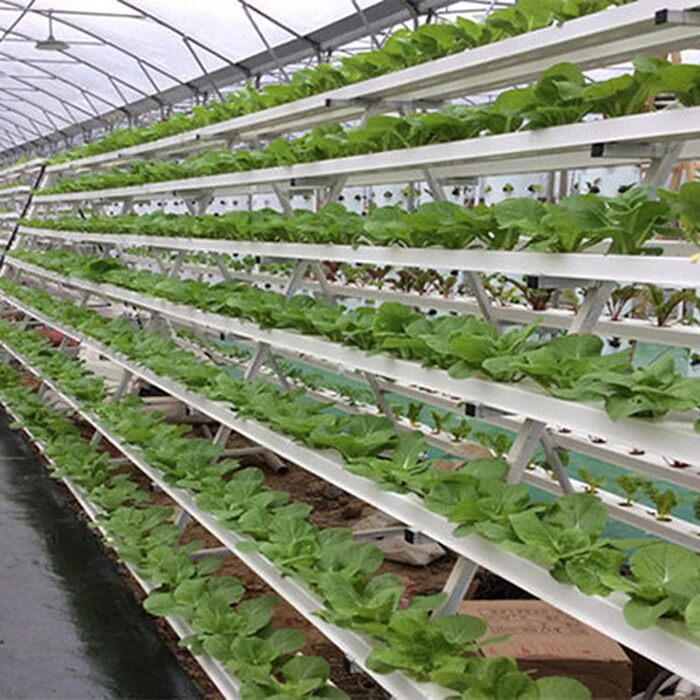 Настінна система гідропонічного вирощування з 36 точками посадки 4-шарова система гідропонічного вирощування Шланги для безґрунтового вирощування з потовщеним зєднаннямВодяний насос (36 точок посадки)