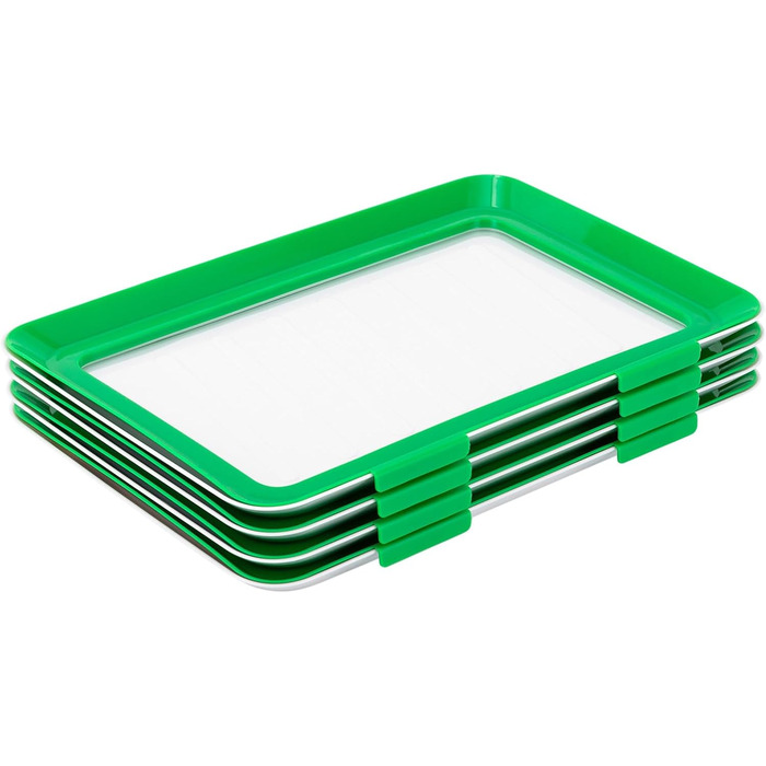 Коробка для шинки, для холодильника, зберігання шинки, холодильник, комплект із 4 контейнерів, для зберігання продуктів, ідеально підходить для кемпінгу, вечірок, сімей (30 x 20 см)