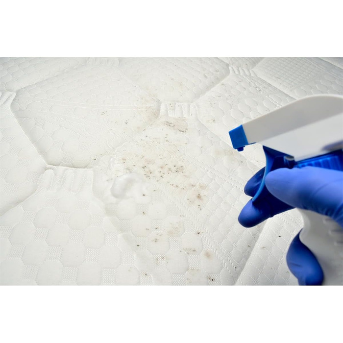 Кондиціонер для водяного матраца AguaNova 2 шт. 250 мл