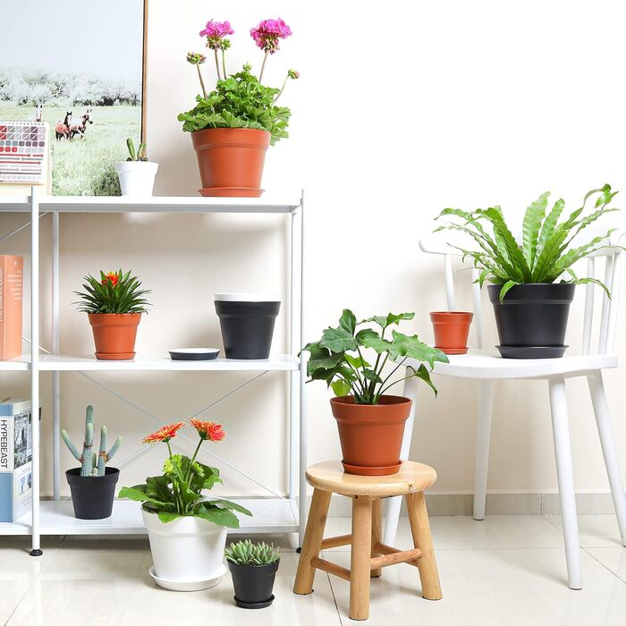 Пластиковий квітковий горщик з блюдцем, набір з 6 пластикових горщиків для трав з декількома дренажними отворами, кругла кашпо для