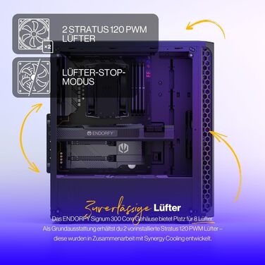 Корпус для ПК ATX, 2 вентилятори 120 мм у комплекті, бічна панель із загартованого скла, сітчаста передня панель, підтримка відеокарт до 325 мм, знімні пилові фільтри, EY2A004 Signum 300 Core (2 вентилятори 120 мм), 300 Core