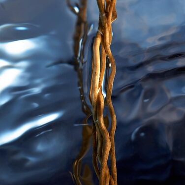 Чоловіча туалетна вода Davidoff Cool Water Reborn (75 мл)