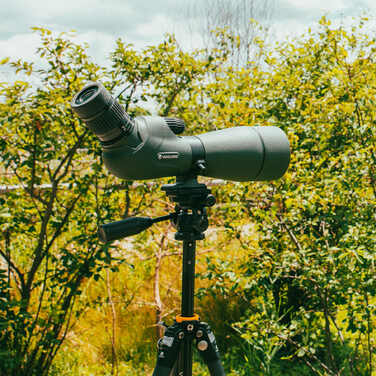 Штатив Vanguard VEO 5 234CO-26 (VEO 5 234CO-26)