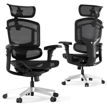 Ергономічне офісне крісло FLEXISPOT ErgoX Pro, регулювання висоти в 12 напрямках, підлокітники 7D, поперекова підтримка 5D, підголівник 4D, вантажопідйомність 250 кг та сітчасте сидіння (чорне) Чорний пінопласт