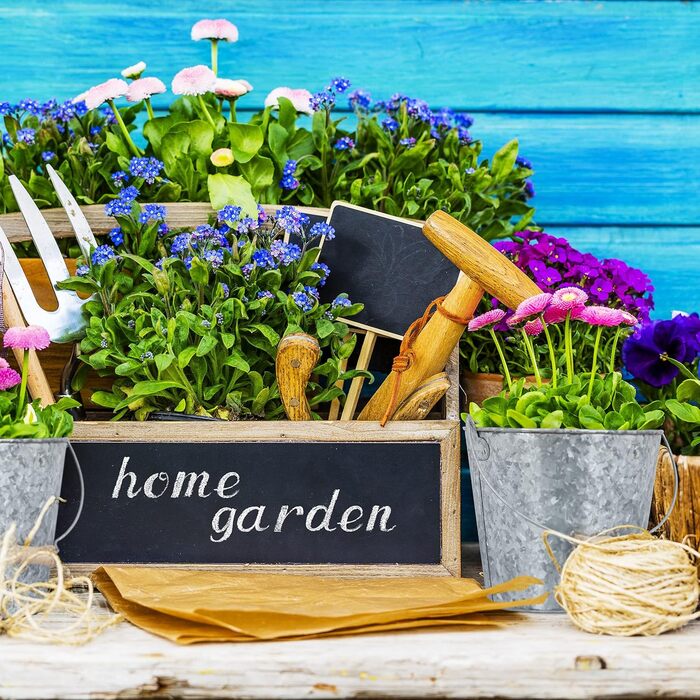 Набір із 5 цинкових горщиків Relaxdays, горщик для трав для кухні, балкону та саду, відро для квітів з оцинкованого металу з ручкою, сріблястий